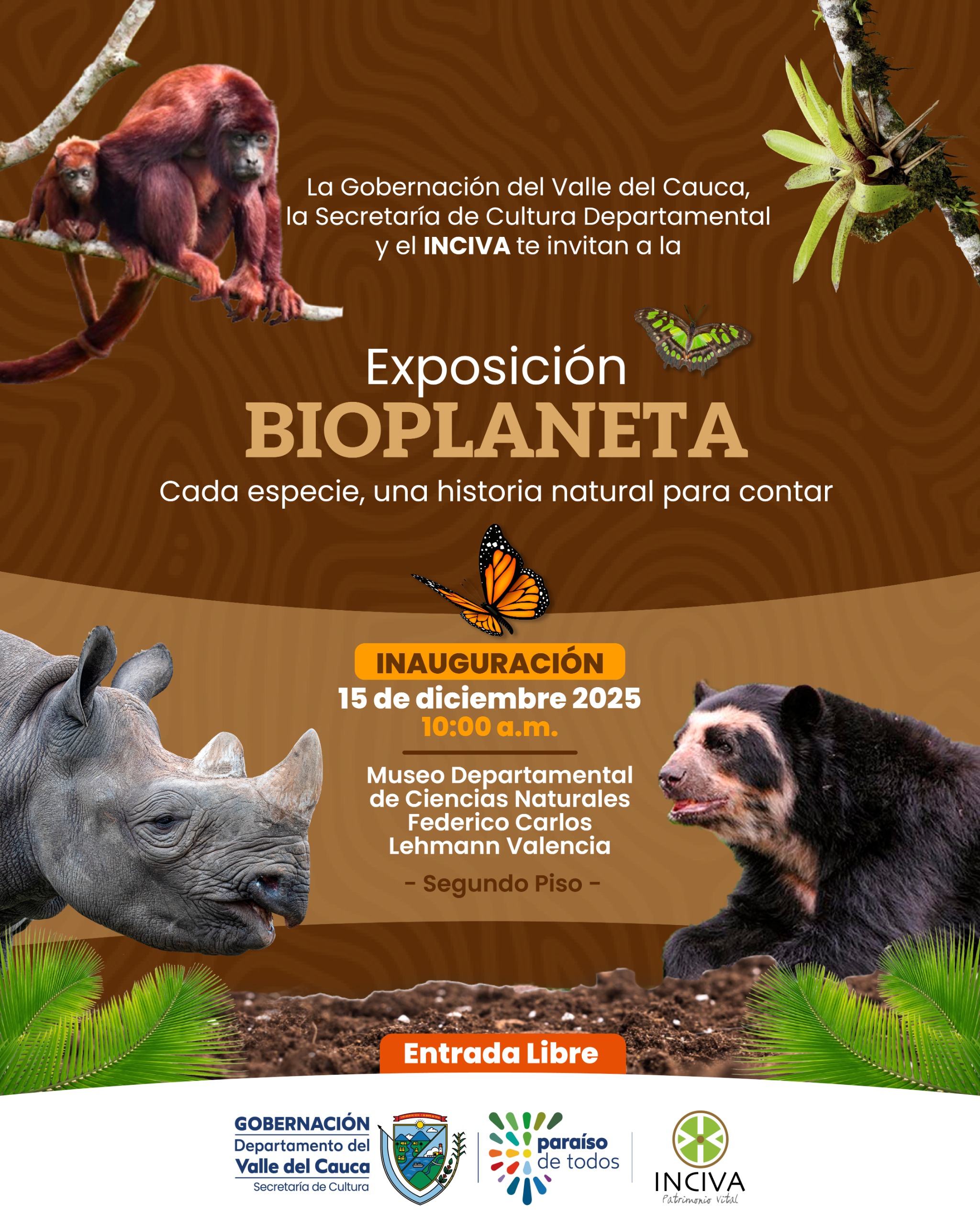 124627-whatsapp image 2025-12-10 at 1.58.41 pm